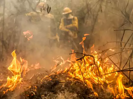 Ein Feuerwehrmann im Einsatz gegen die Flammen im Pantanal. - Foto: Marcelo Camargo/Agencia Brazil/dpa