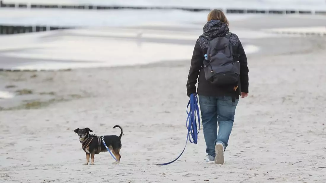 Strand (Archiv) - Bild: über dts Nachrichtenagentur