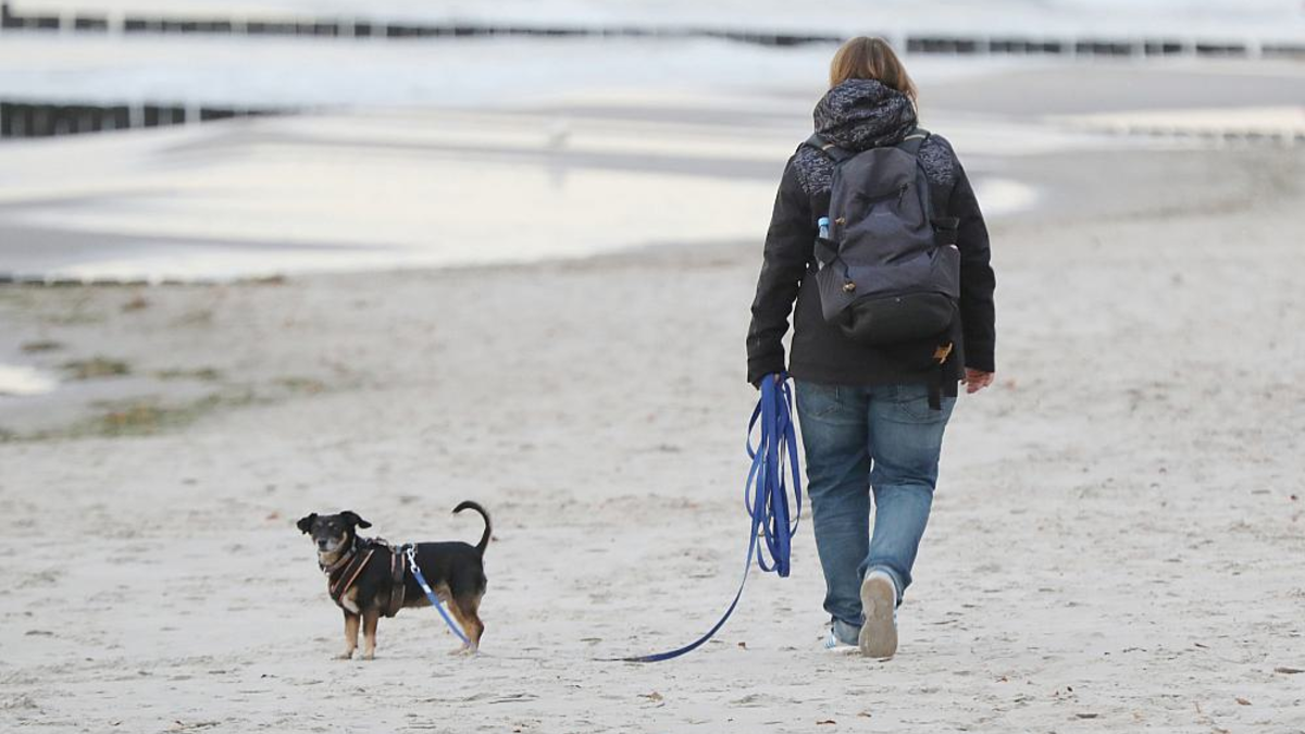 Strand (Archiv) - Foto: über dts Nachrichtenagentur