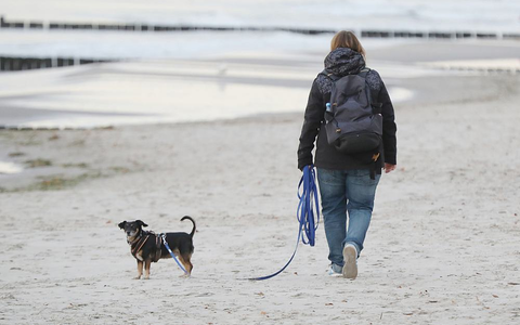 Strand (Archiv) - Foto: über dts Nachrichtenagentur