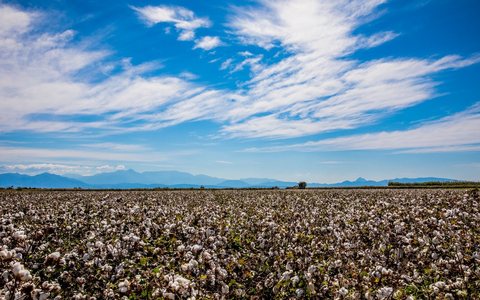Die EUCOTTON-Initiative: 100 % europäische, nachhaltige Baumwollprodukte - Foto: presseportal.de