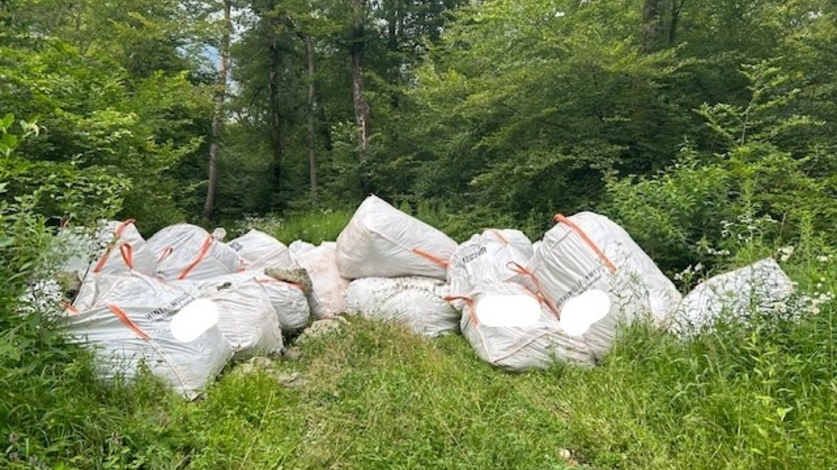 POL-PDLD: Wörth - illegale Müllentsorgung - Foto: presseportal.de