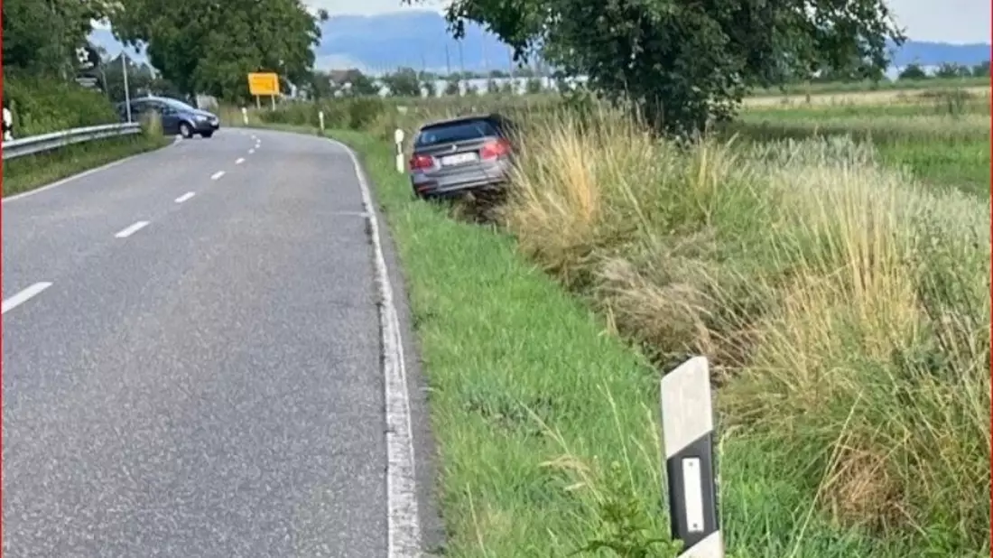 POL-PDLD: Pkw-Fahrer kommt von der Fahrbahn ab - Bild: presseportal.de