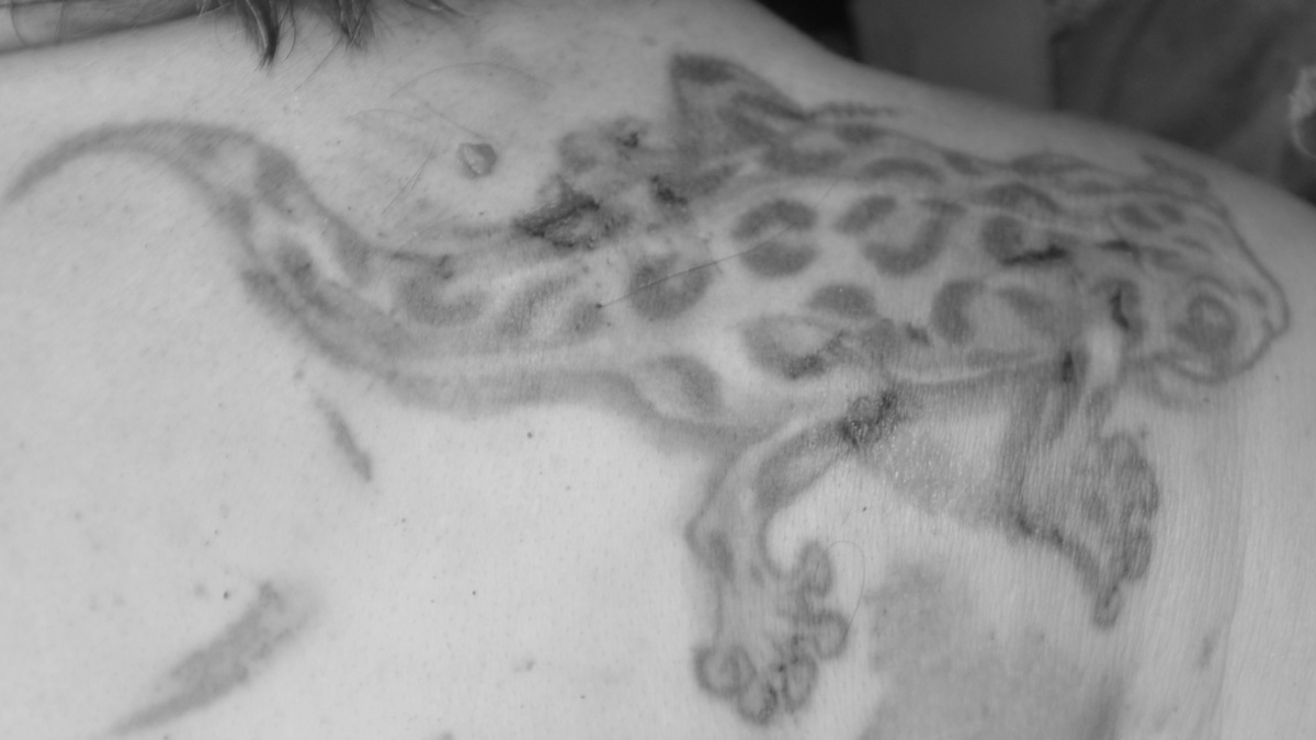 POL-SZ: Pressemitteilung der Polizeiinspektion SZ/PE/WF vom 02.07.2024. BILDER IM ANHANG. - Foto: presseportal.de