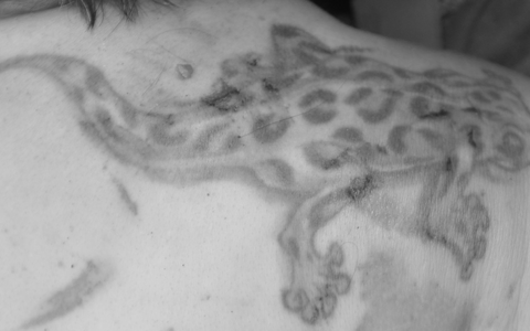 POL-SZ: Pressemitteilung der Polizeiinspektion SZ/PE/WF vom 02.07.2024. BILDER IM ANHANG. - Foto: presseportal.de