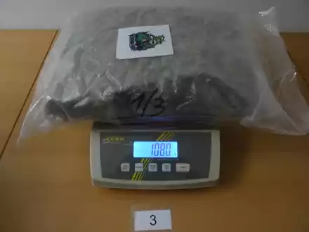 HZA-N: Blumige Fracht: Nürnberger Zoll findet 40 Kilogramm Cannabisblüten - Foto: Zoll, presseportal.de