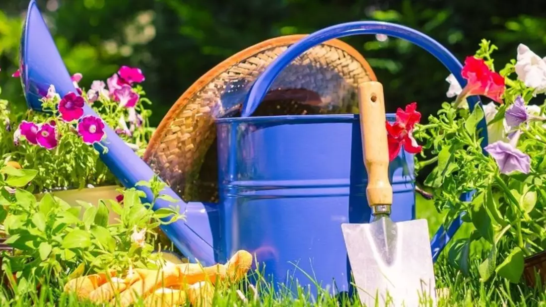 Gartenkompass 2024: So gärtnert Deutschland für mehr Artenvielfalt - Bild: presseportal.de