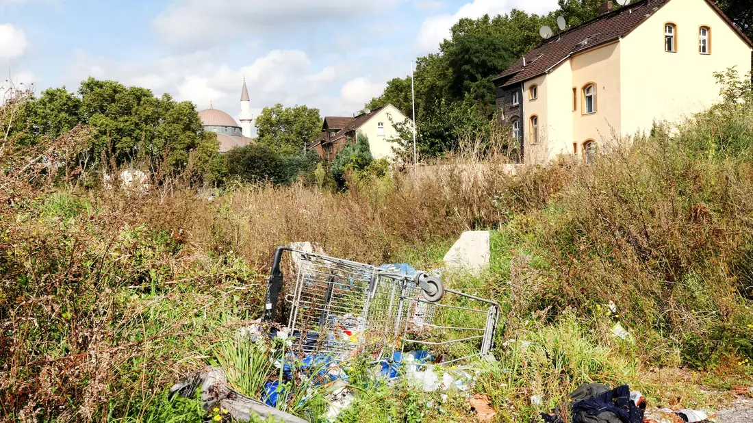 Müll auf einer Grünfläche in Duisburg-Marxloh. (Archivbild) - Bild: Roland Weihrauch/dpa