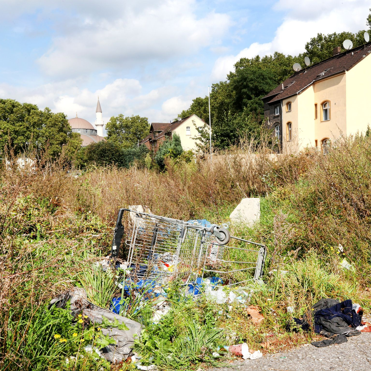 Müll auf einer Grünfläche in Duisburg-Marxloh. (Archivbild) - Foto: Roland Weihrauch/dpa