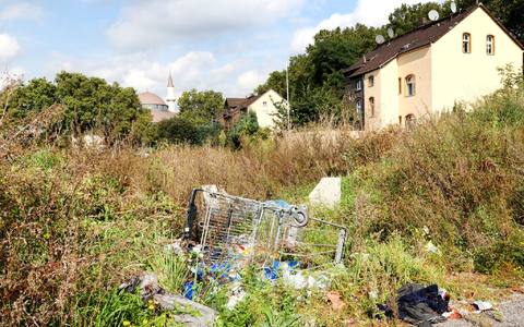 Müll auf einer Grünfläche in Duisburg-Marxloh. (Archivbild) - Foto: Roland Weihrauch/dpa