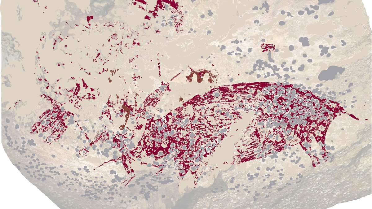 Älteste gegenständliche Malerei: drei Figuren und ein Wildschwein.  - Foto: Griffith University/dpa