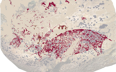 Älteste gegenständliche Malerei: drei Figuren und ein Wildschwein.  - Foto: Griffith University/dpa