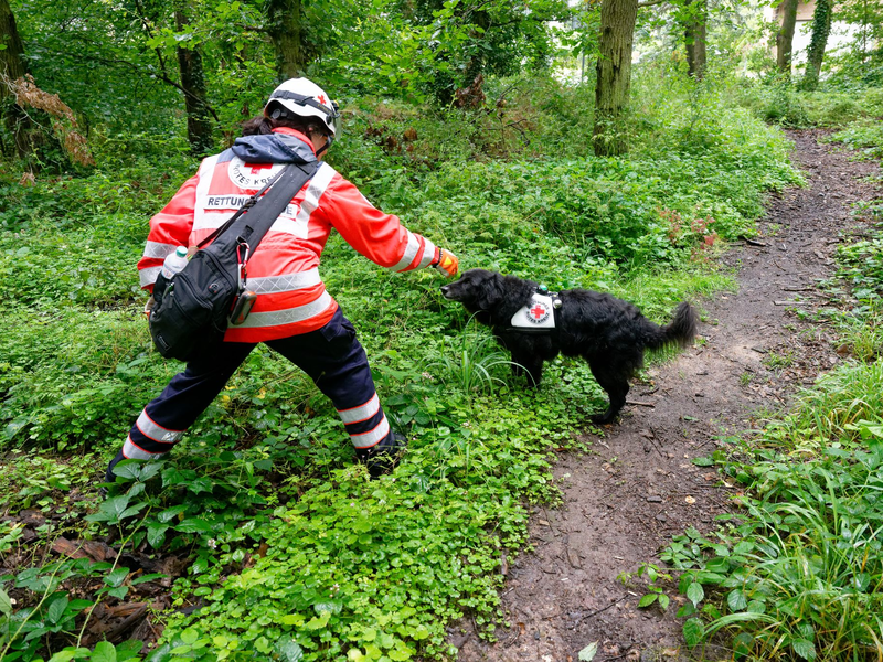 Glückliches Ende einer Vermisstensuche: Das verschwundene Mädchen ist wieder da (Archivbild). - Foto: Henning Kaiser/dpa
