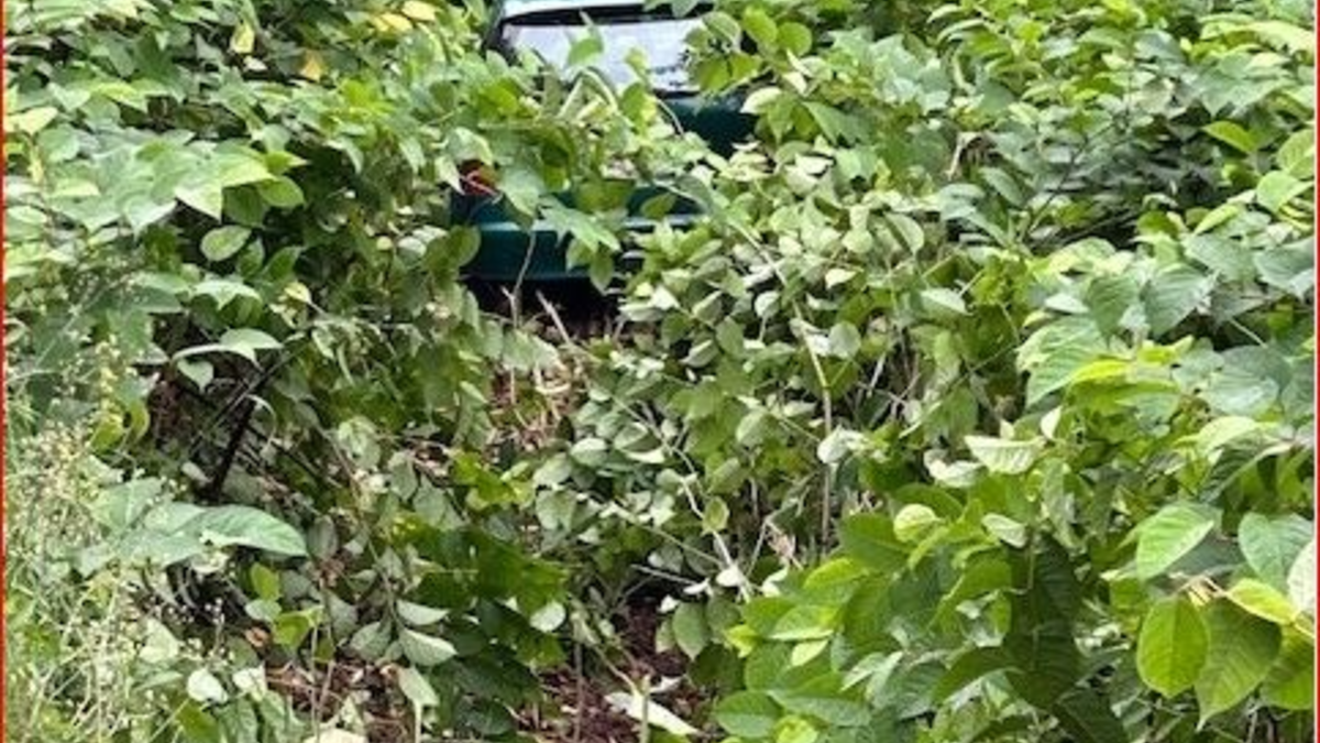 POL-PDLD: Pkw-Fahrerin kommt von der Fahrbahn ab - Foto: presseportal.de