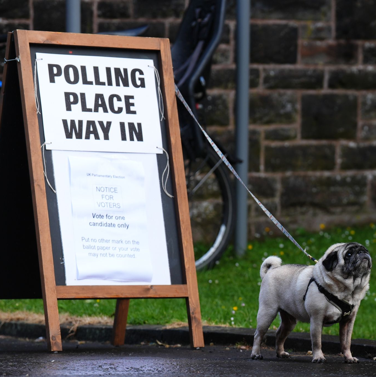 Die Menschen in Großbritannien gelten als besonders tierlieb und bringen ihre Hunde oft zum Wählen mit. - Foto: Andrew Milligan/PA Wire/dpa