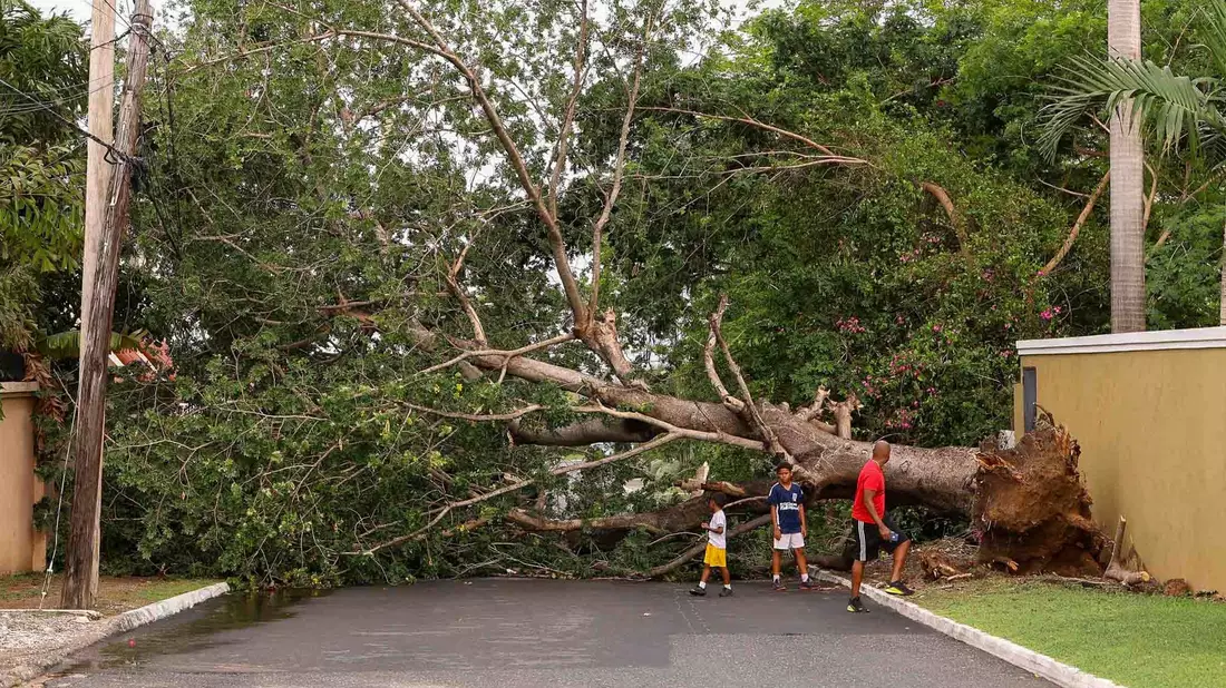 Der Klimawandel erhöht die Wahrscheinlichkeit starker Stürme. - Bild: Leo Hudson/AP