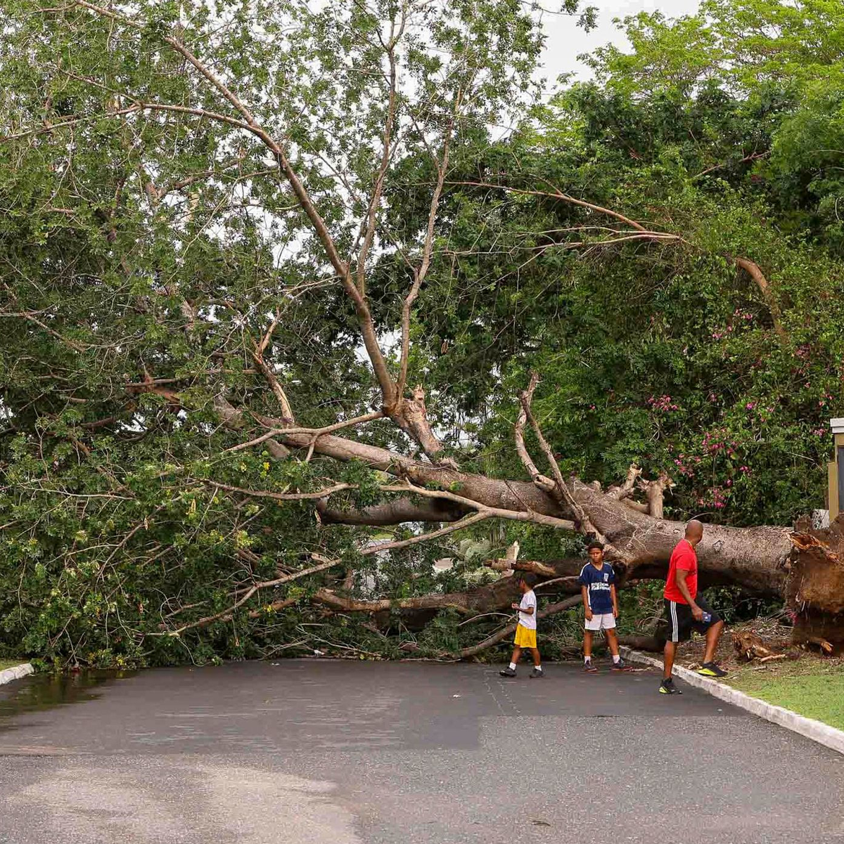 Der Klimawandel erhöht die Wahrscheinlichkeit starker Stürme. - Foto: Leo Hudson/AP