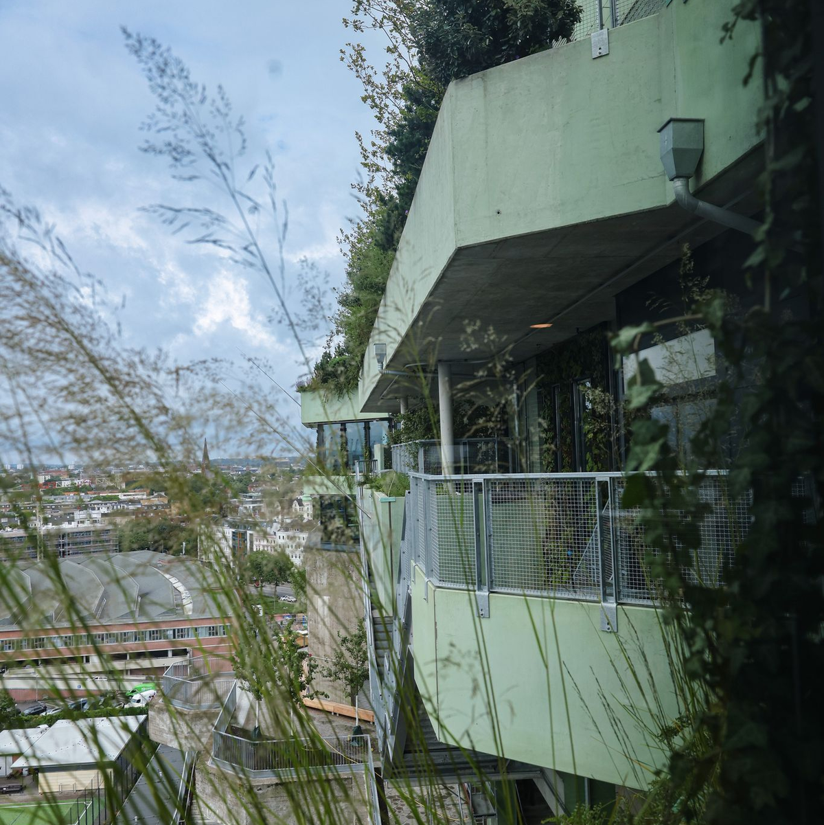 Blick auf den Bergpfad - Foto: Ulrich Perrey/dpa