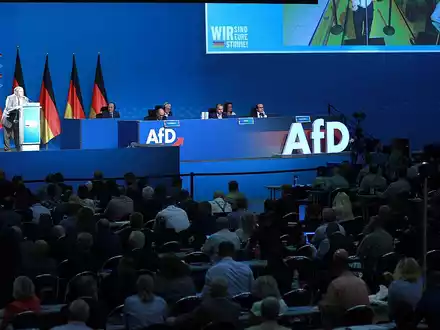AfD-Parteitag (Archiv) - Foto: über dts Nachrichtenagentur