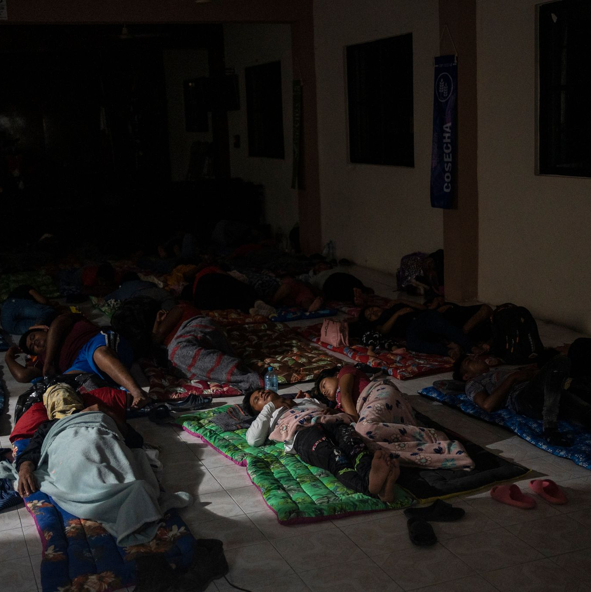 Menschen suchen in Notunterkünften Schutz vor Hurrikan «Beryl». - Foto: Felix Marquez/
