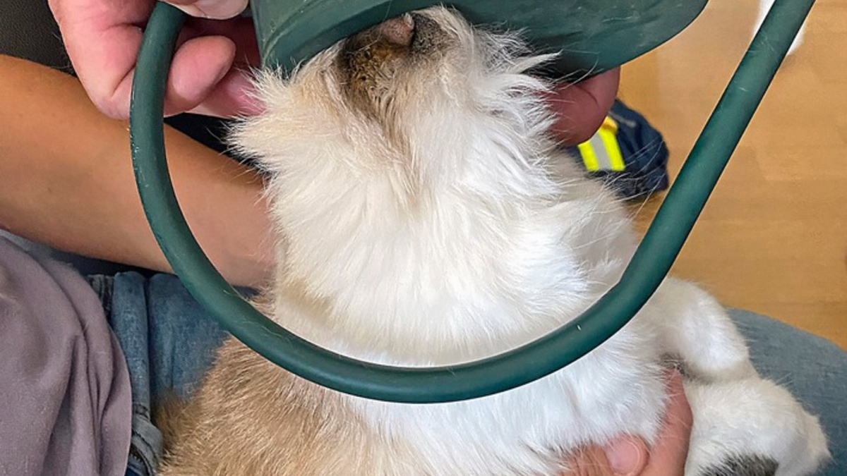 FW-M: Zu tief hineingeschaut (Perlach) - Foto: presseportal.de