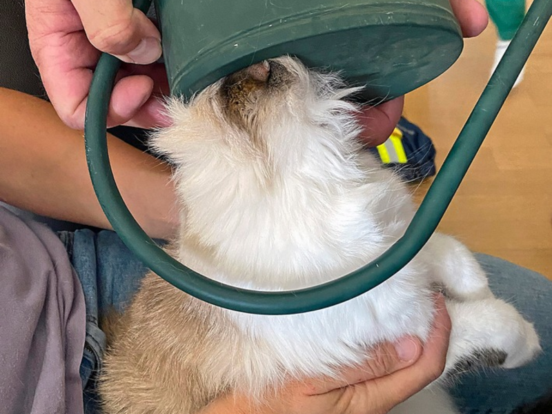 FW-M: Zu tief hineingeschaut (Perlach) - Foto: presseportal.de