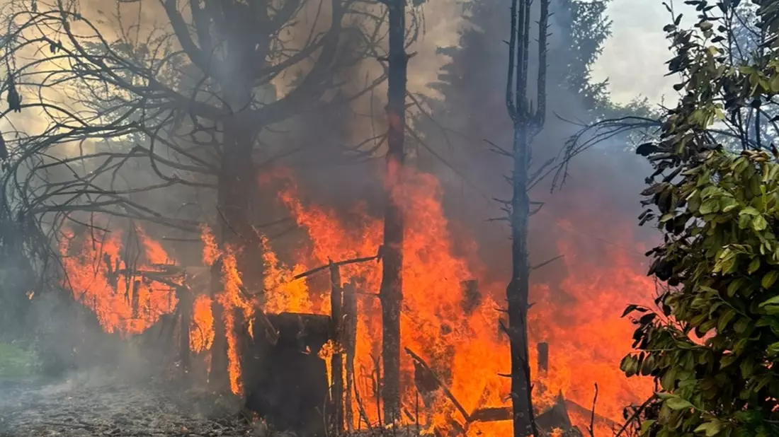 FW Stuttgart: Einsatzreicher Donnerstag für die Feuerwehr Stuttgart - Bild: presseportal.de