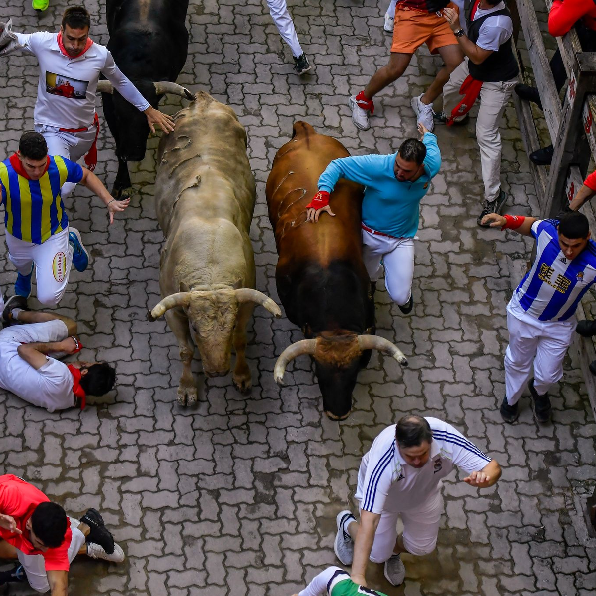 Die Besucher kommen aus den verschiedensten Regionen Spaniens und aus aller Welt - auch aus Deutschland und insbesondere aus den USA. (Archivbild) - Foto: Alvaro Barrientos/AP/dpa