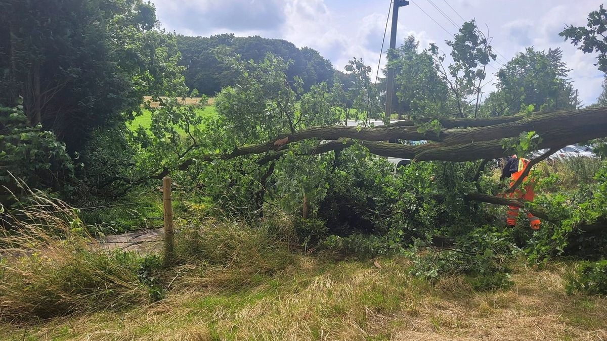 FW Sonsbeck: Drei Einsätze für die Feuerwehr Sonsbeck - Zwei Stromleitungen beschädigt - Foto: presseportal.de