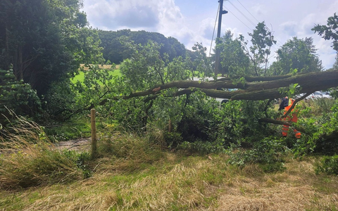 FW Sonsbeck: Drei Einsätze für die Feuerwehr Sonsbeck - Zwei Stromleitungen beschädigt - Foto: presseportal.de FW Sonsbeck: Drei Einsätze für die Feuerwehr Sonsbeck - Zwei Stromleitungen beschädigt - Foto: presseportal.de