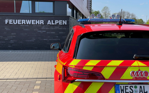 FW Alpen: Großer Ast hängt über die Fahrbahn - Foto: presseportal.de