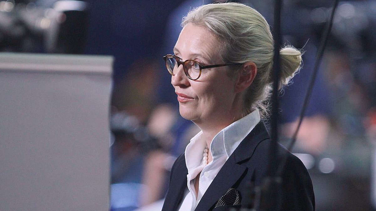 Alice Weidel (Archiv) - Foto: über dts Nachrichtenagentur