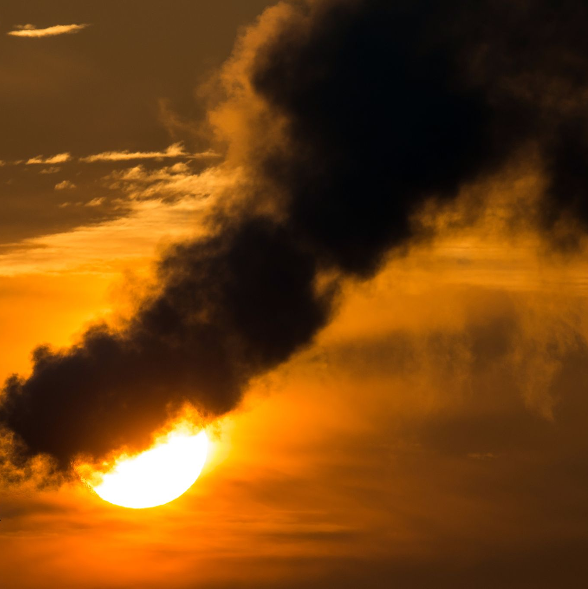 Die Morgensonne scheint hinter qualmenden Schornsteinen eines Blockheizkraftwerks in Frankfurt (Oder) (Brandenburg). - Foto: picture alliance / dpa