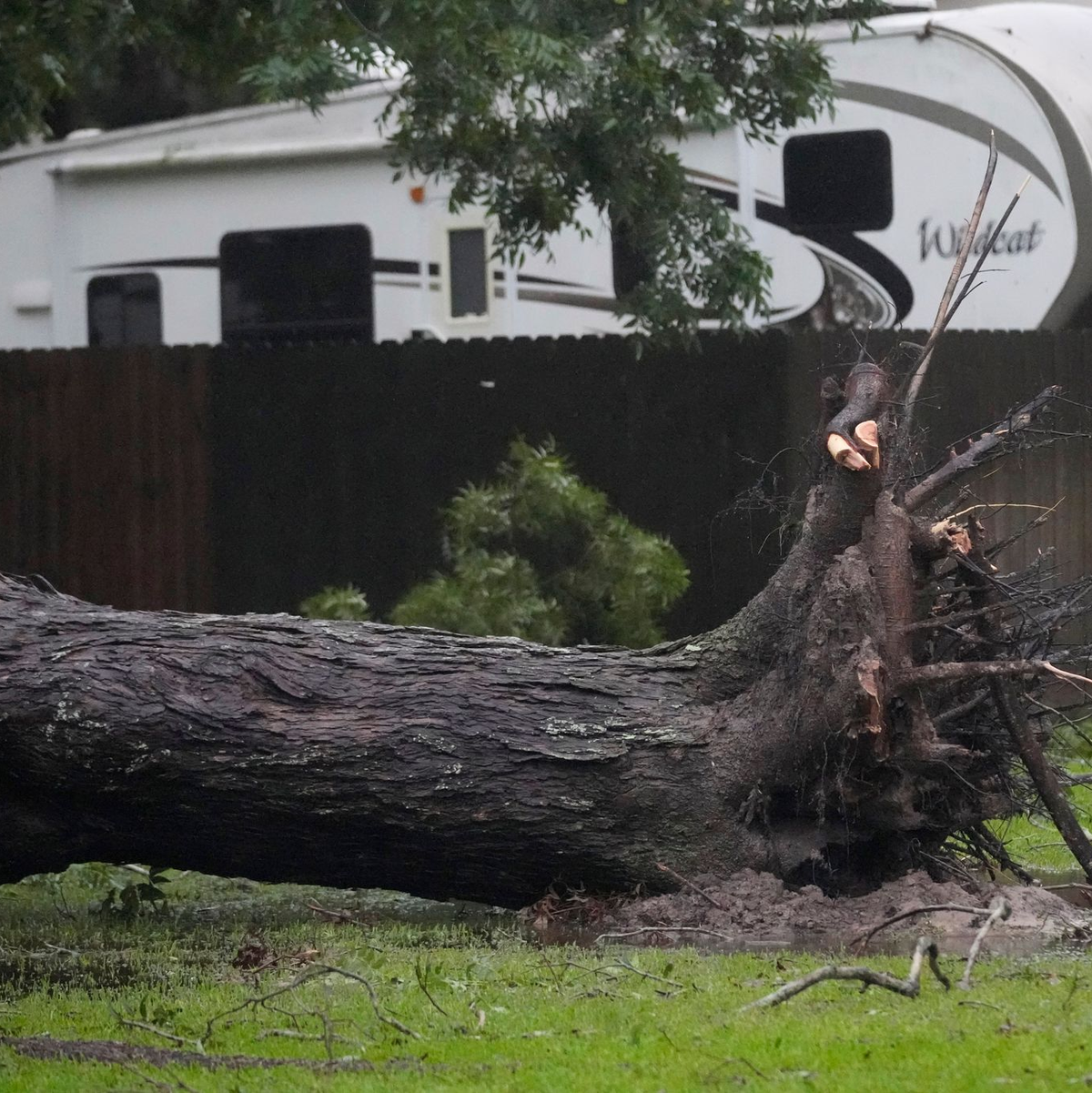 «Beryl» zieht mit Windgeschwindigkeiten von bis zu 110 Kilometer pro Stunde durch Texas. - Foto: Eric Gay/AP/dpa