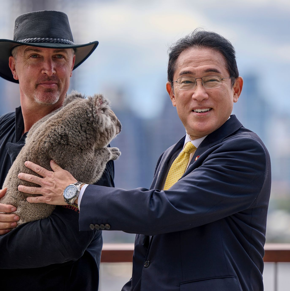 Auch viele Prominente, wie Japans Ministerpräsident Fumio Kishida, haben schon mit Koalas gekuschelt. (Archivbild) - Foto: Stefan Gosatti/Getty Pool via AP/dpa