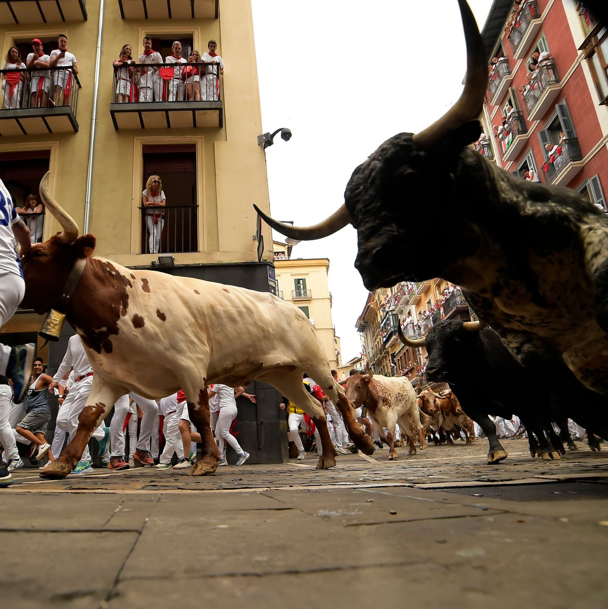 Die Stierkämpfe beim Sanfermín-Fest in Pamplona locken jedes Jahr Zehntausende an. - Foto: Alvaro Barrientos/AP