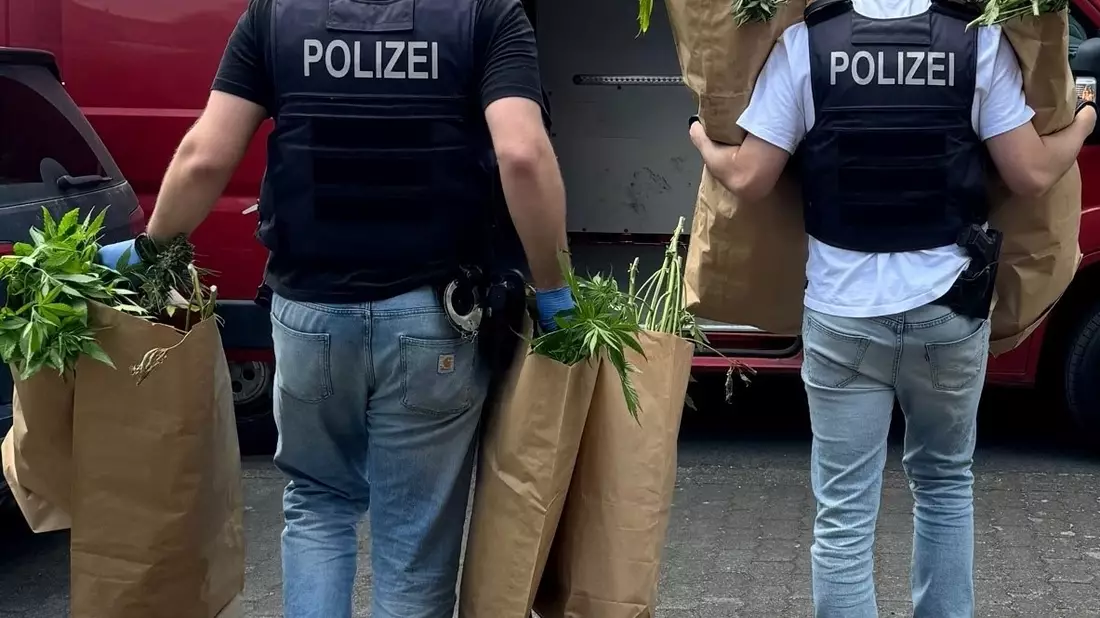 POL-REK: 240709-3: Cannabispflanzen und Pilze sichergestellt - Bild: presseportal.de