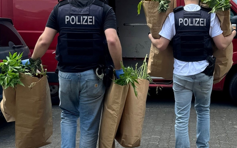 POL-REK: 240709-3: Cannabispflanzen und Pilze sichergestellt - Foto: presseportal.de