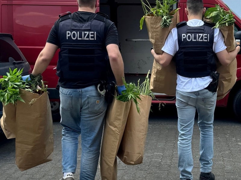 POL-REK: 240709-3: Cannabispflanzen und Pilze sichergestellt - Foto: presseportal.de