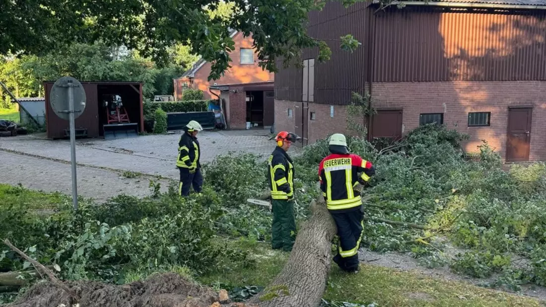 FFW Schiffdorf: Feuerwehr beseitigt Baum von Straße - Bild: presseportal.de