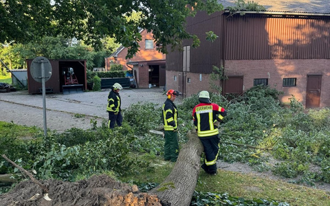 FFW Schiffdorf: Feuerwehr beseitigt Baum von Straße - Foto: presseportal.de
