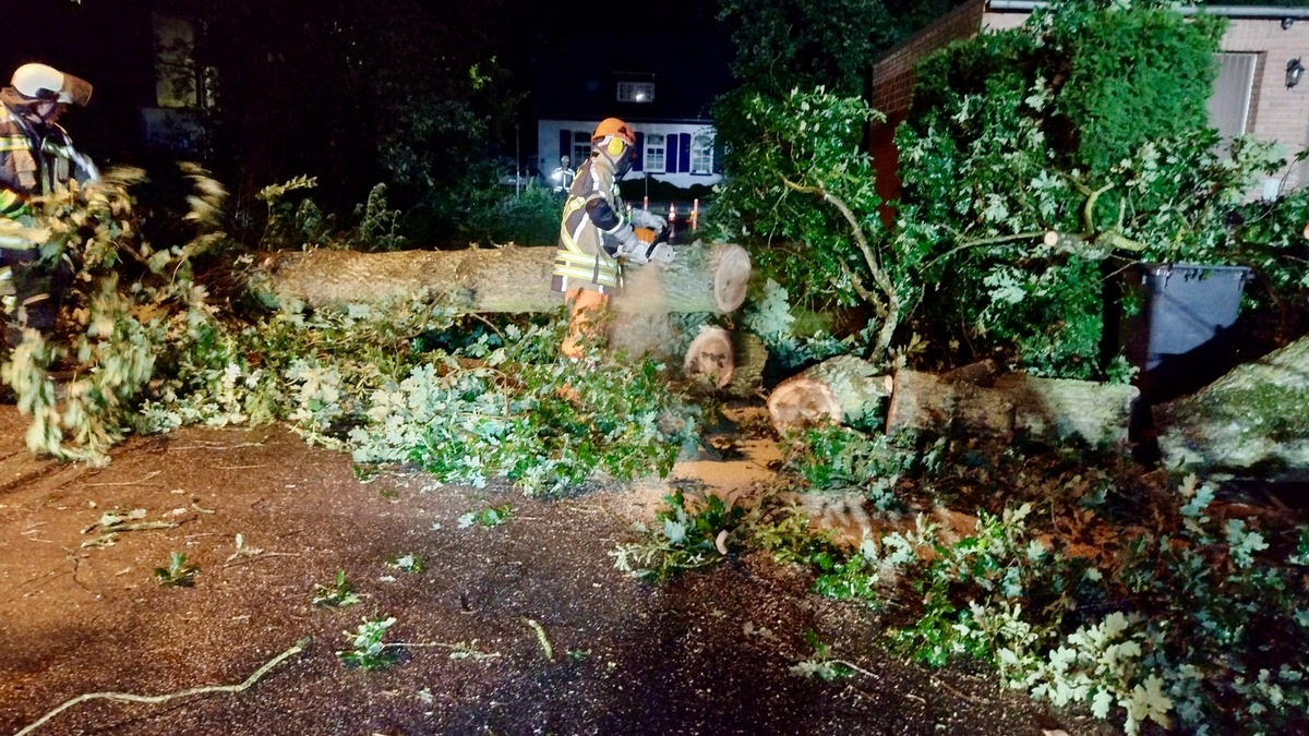 FW Hünxe: Baum stürzt auf Hausdach - Foto: presseportal.de