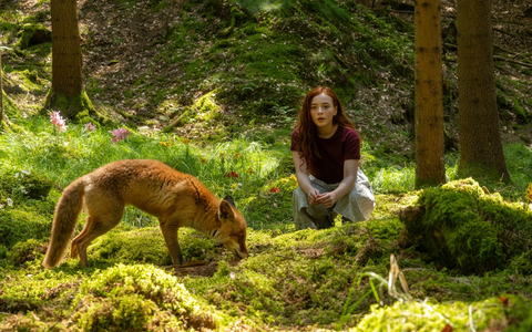 Nach der zauberhaft-magischen Kinderbuchreihe: Drehstart für EIN MÄDCHEN NAMENS WILLOW - Foto: presseportal.de Nach der zauberhaft-magischen Kinderbuchreihe: Drehstart für EIN MÄDCHEN NAMENS WILLOW - Foto: presseportal.de