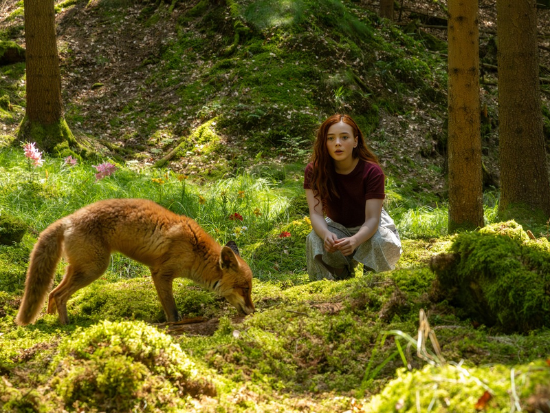 Nach der zauberhaft-magischen Kinderbuchreihe: Drehstart für EIN MÄDCHEN NAMENS WILLOW - Foto: presseportal.de