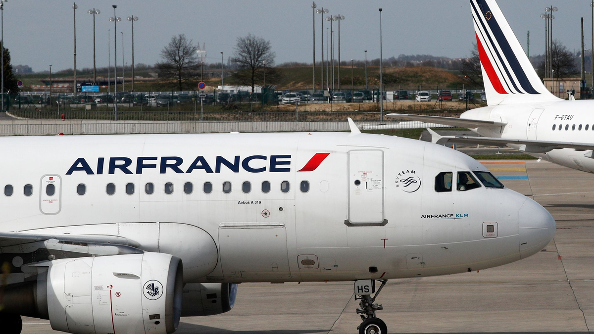Frankreich und die Niederlanden haben Air France-KLM zu Corona-Zeiten mit Milliardenstaatshilfen unterstützt. (Archivbild) - Foto: Christophe Ena/AP/dpa
