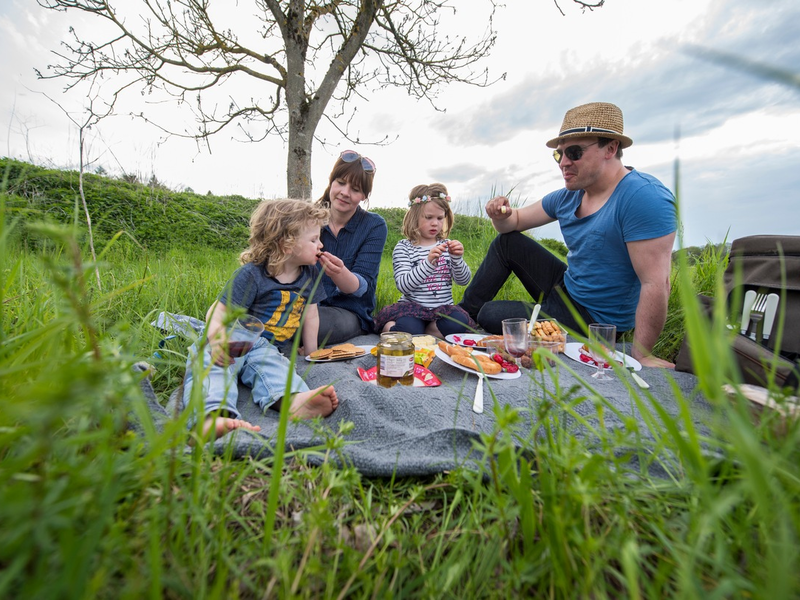 Zecken: Klein, aber gemein - Foto: presseportal.de