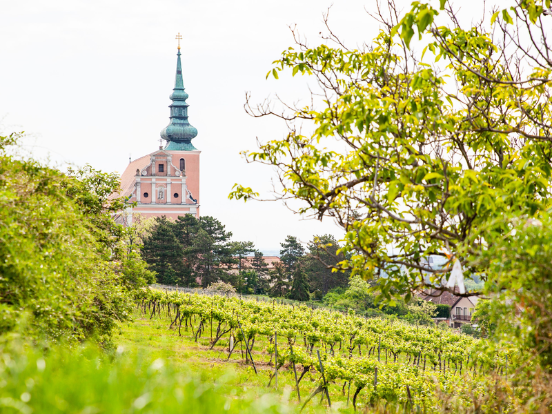 Poysdorf: Kirche - Foto: Martin Grabmayer über pressetext.de