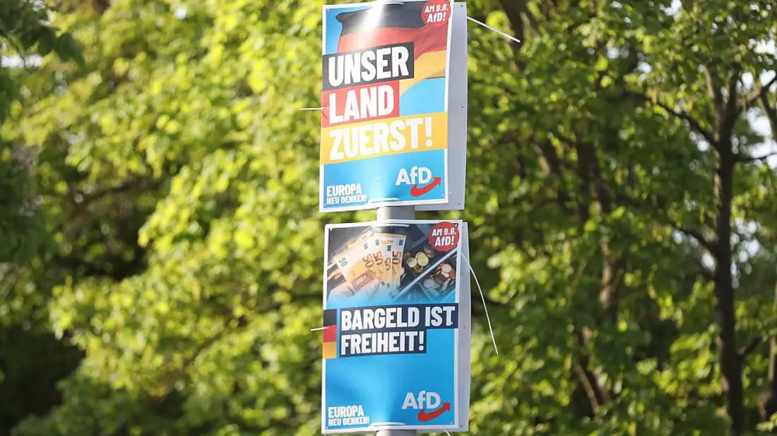 AfD-Wahlplakate zur Europawahl (Archiv) - Bild: über dts Nachrichtenagentur