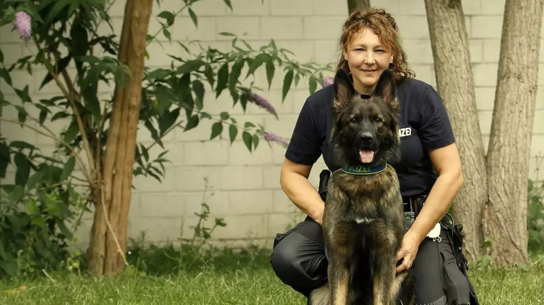 POL-DU: Marxloh: Drogenspürhund hatte den richtigen Riecher - und findet Socke mit Drogen - Bild: presseportal.de