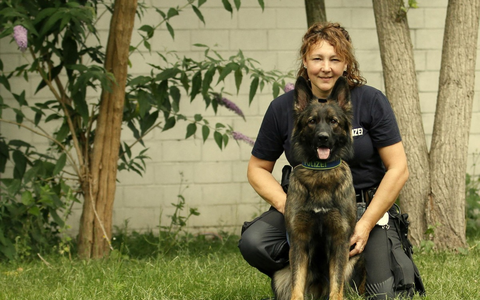 POL-DU: Marxloh: Drogenspürhund hatte den richtigen Riecher - und findet Socke mit Drogen - Foto: presseportal.de
